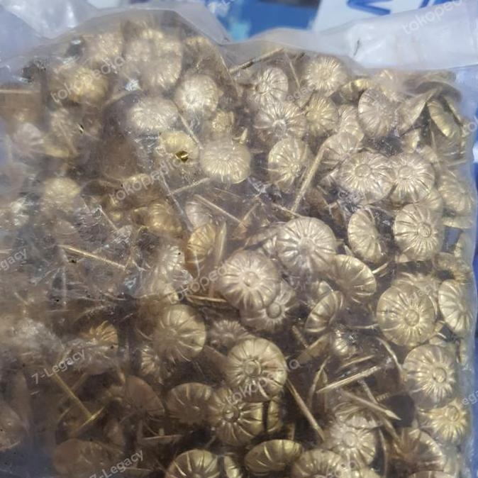 ,,,,,,,] PAKU MATA KUCING SOFA HIAS / PAKU PINES MATA KUCING BUNGA