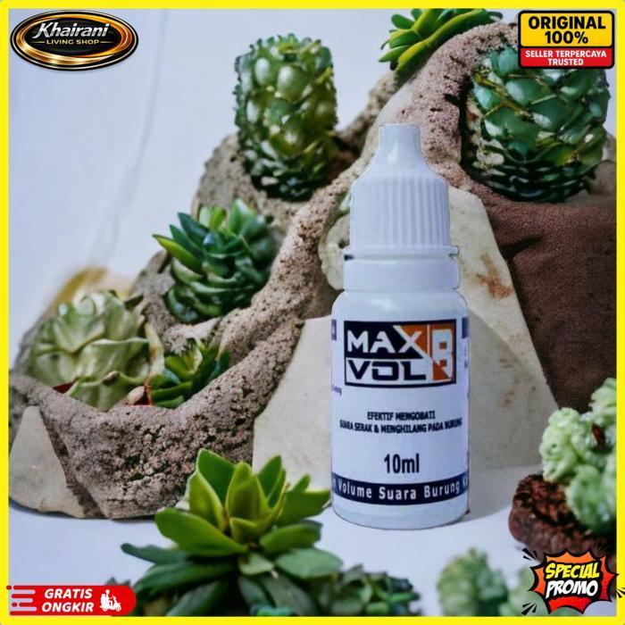 Exclusive Max Vol - B Obat Burung Serak Dan Batuk