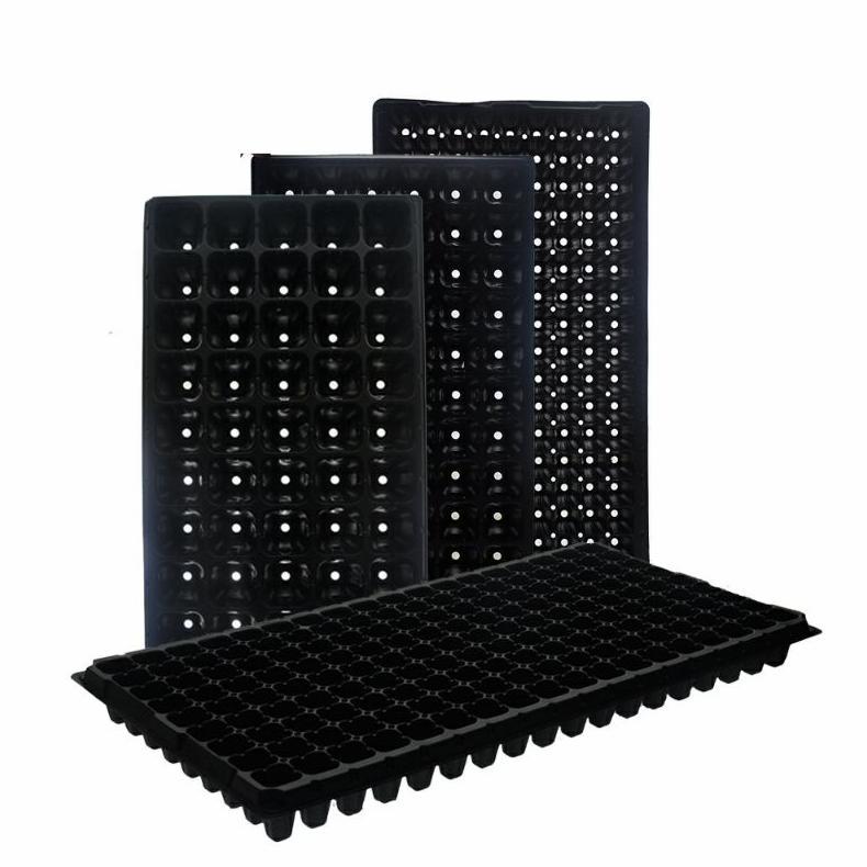 Bisa Cod Try Semai Benih Tanaman Size 200 Lubang ><