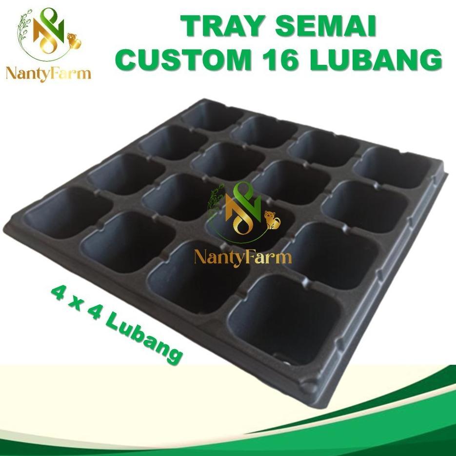 Bisa Cod Tray Semai Potray 16 Lubang - Tray Semai 4X4 ><