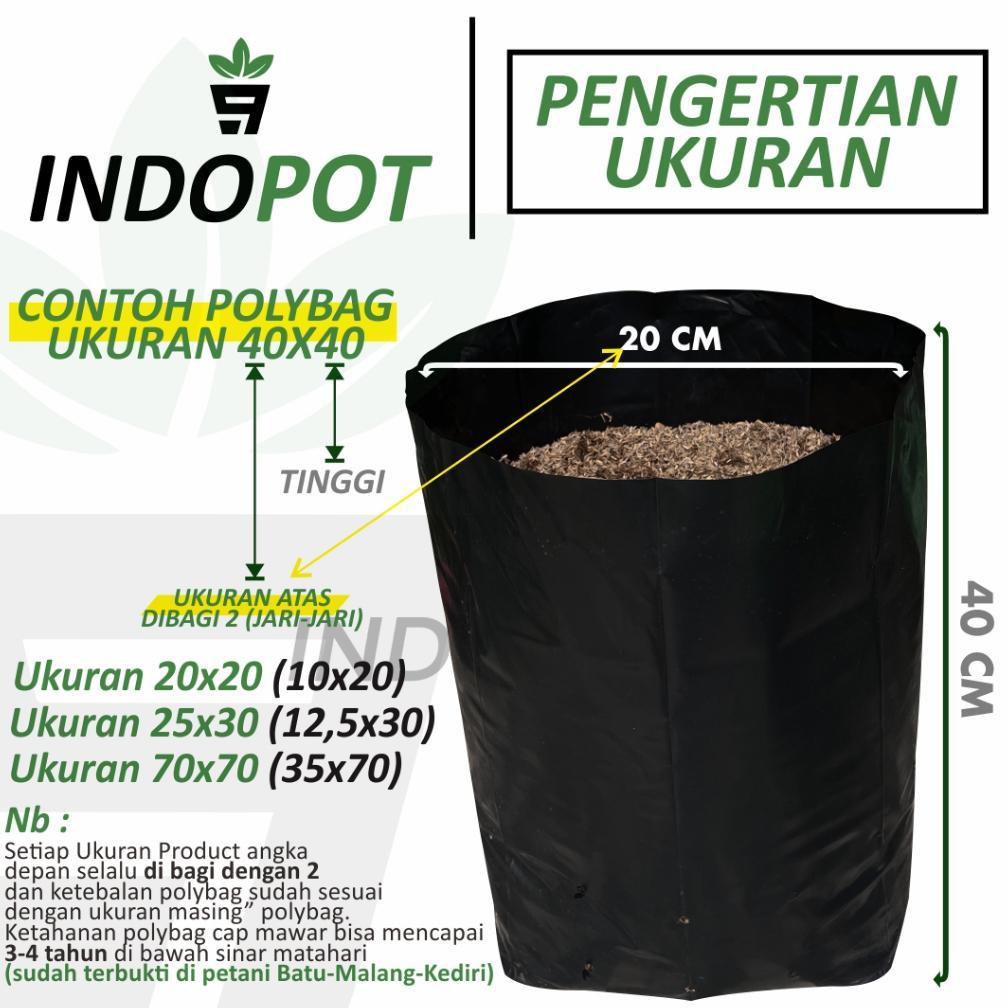 Bisa Cod Polybag Paket 500 Lembar Ukuran 10X15 Polybag Kecil Tinggi Polybag Panjang ><