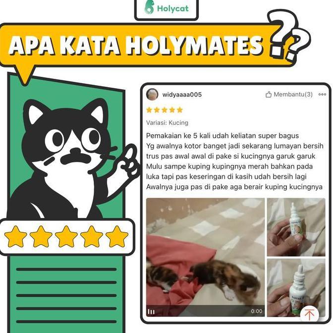 Holycatlabs Perawatan Tetes Telinga Kucing Anjing Royal Care 10 ML (TERBAIK) (TERBARU) (TERMURAH)