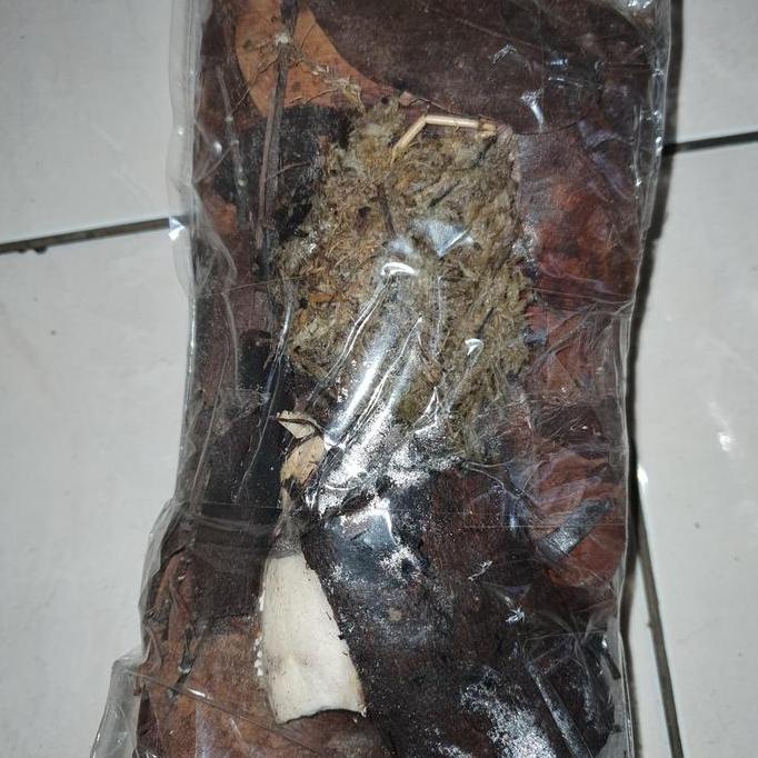 Substrate Isopoda / bioactive katak / tarantula dll - 1 kg (TERBAIK) (TERBARU) (TERMURAH)