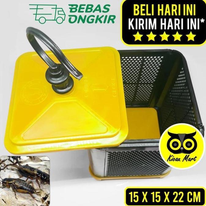 Kicaudor- Sangkar Kandang Wadah Ternak Jangkrik Ulat Belalang Oriq Jaya Gantung