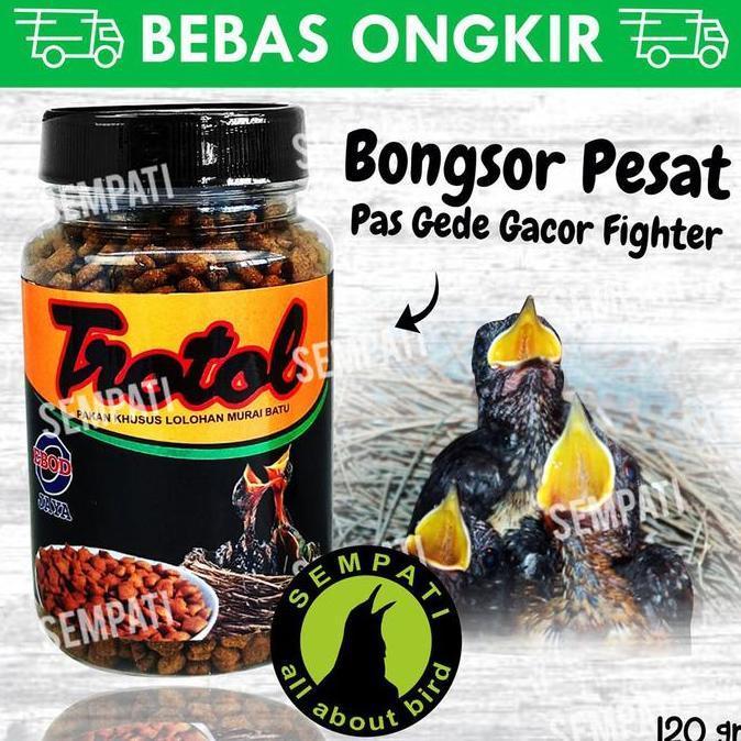 Kicaudor- Pakan Loloh Burung Murai Trotol Premium Ebod Jaya Toples Lolohan Trobt