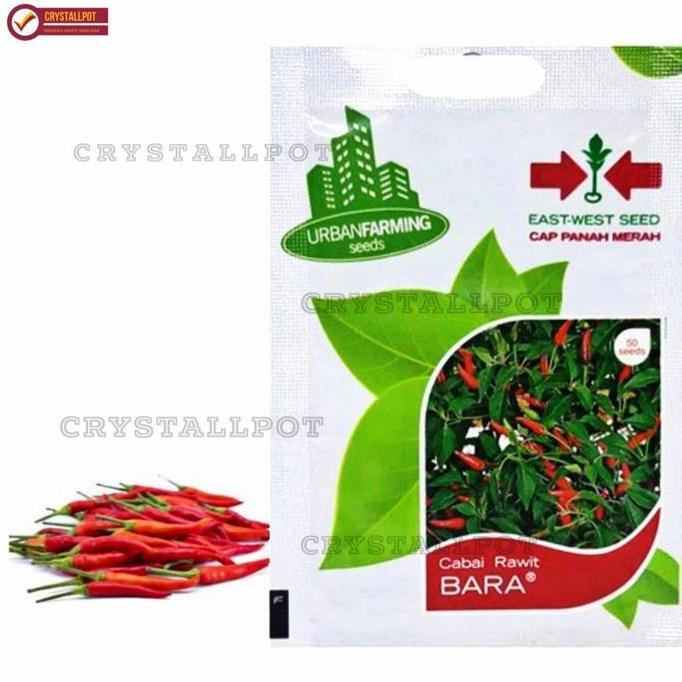 Joee- Benih Bibit Cabai Rawit Bara Cap Panah Merah - Cabai Rawit Bara
