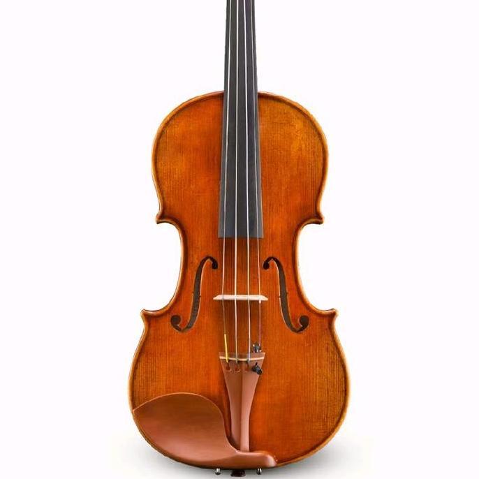 Violin (Biola) Raul Emiliani VL-928 by Eastman Strings