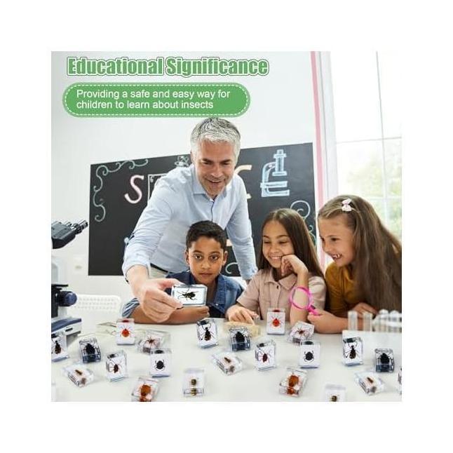 36 Buah Kit Penemuan Serangga Dalam Spesimen Resin Serangga Pemberat Kertas dengan Kartu Flash Infor