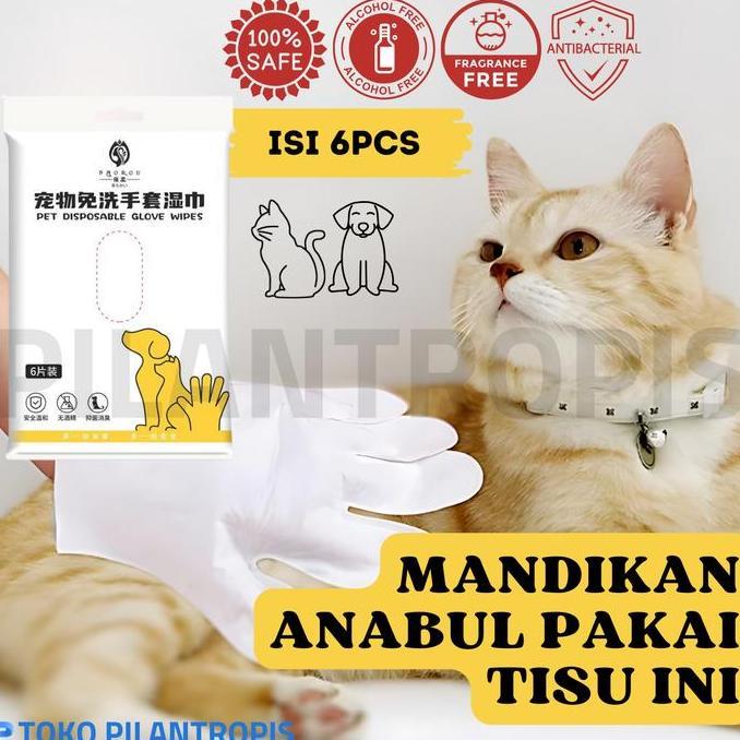 Dbutsu- Tisu Basah Kucing Anjing Buat Mandi Pet Gloves Wipes Tissue Tissu Basah Kucing Anjing Untuk 