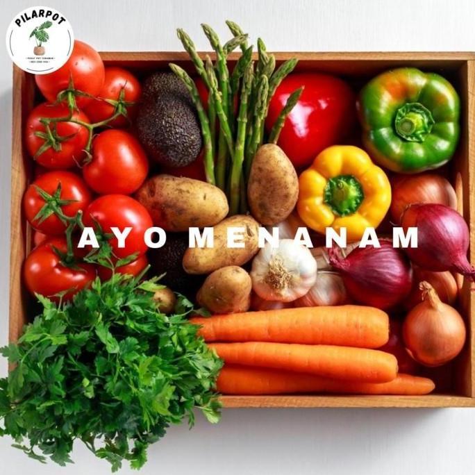 BENIH BIBIT PAKET SAYURAN PEMULA ISI 10 BIBIT - PAKET SAYURAN PEMULA