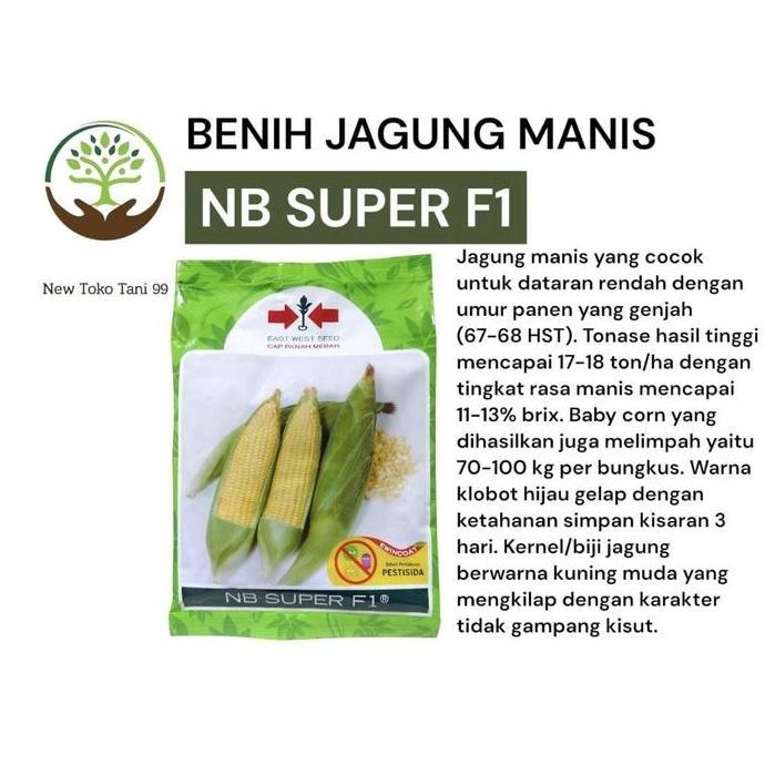 TERMURAH - Benih jagung NB super F1 1750 butir benih jagung manis nbsuper dari panah merah jagung ma