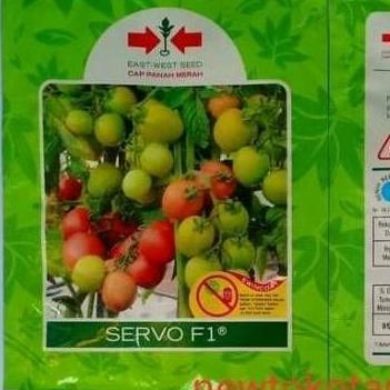 TERBARU - Benih tomat SERVO 1750 butir tomat hibrida dari panah merah