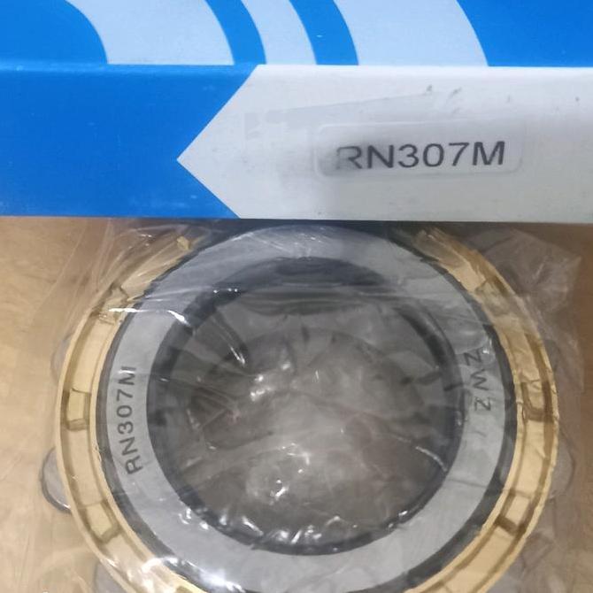 Bearing Rn 307 M Zwz.........