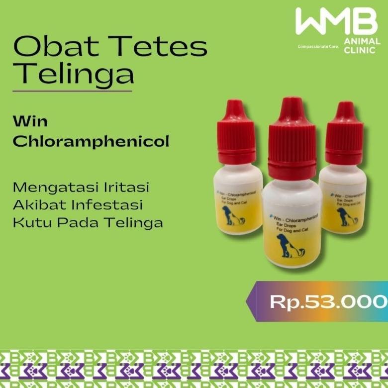 READY Win Chloramphenicol (Obat Tetes Telinga)