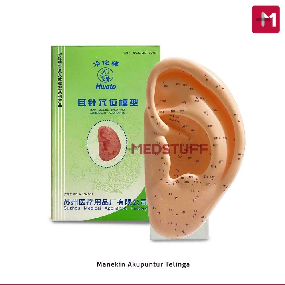 READY Manekin Telinga Akupuntur Hwato Manekin Acupuncture Patung Telinga Akupuntur