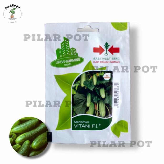 Abcd- Benih Bibit Timun Lalap Vitani F1 Cap Panah Merah - Timun Vitani F1