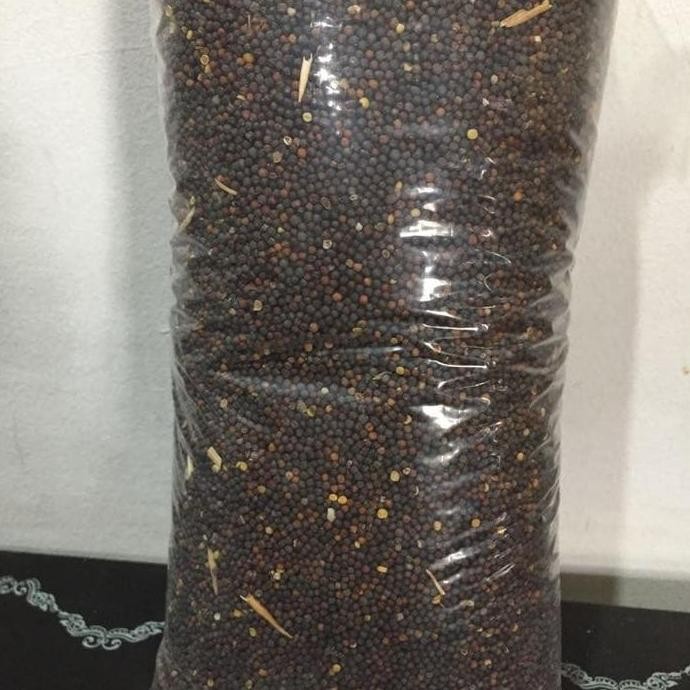 BIJI SAWI - pakan burung