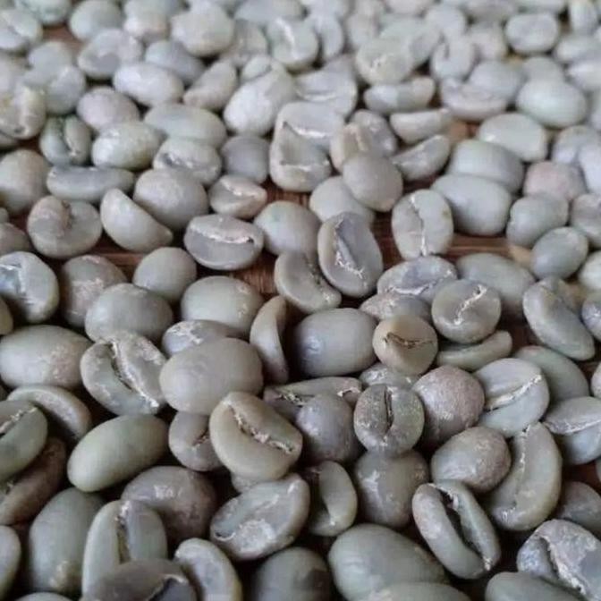 kopi biji green bean arabica kintamani bali coffee arabika