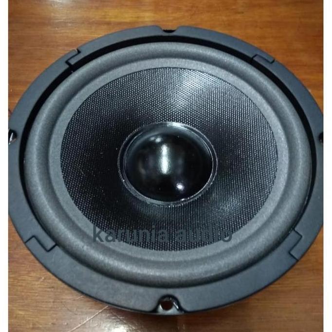 Speaker Woofer ACR 6" 660 60W