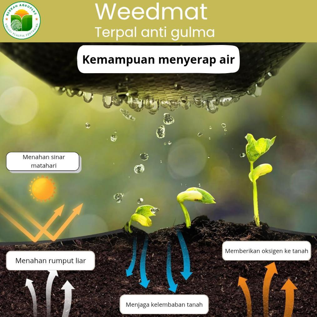 Promo Cod Weedmat Lebar 2 Meter/ Terpal Anti Gulma - Ground Cover -  Weedmat Eceran ....