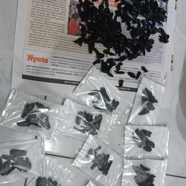 Empedu Ular Cobra Asli Kering Ibu Aminah Khasiat Luas