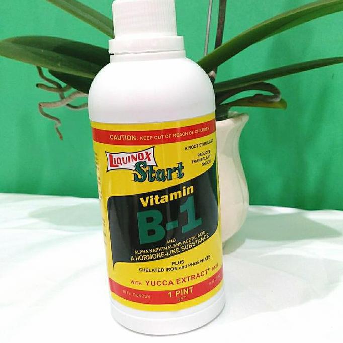 Vitamin Tanaman B1 Liquinox Ukuran 470 Ml - Vitamin Tanaman
