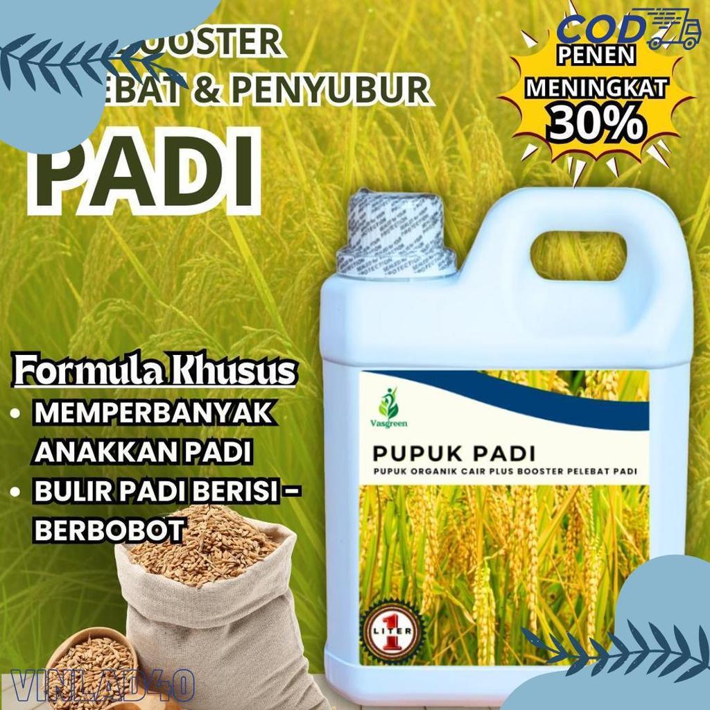 Cod Pupuk Padi Cair Pelebat Bulir & Memperbanyak Anakan - Pengendali Hama Tikus | Pupuk Cair Semprot