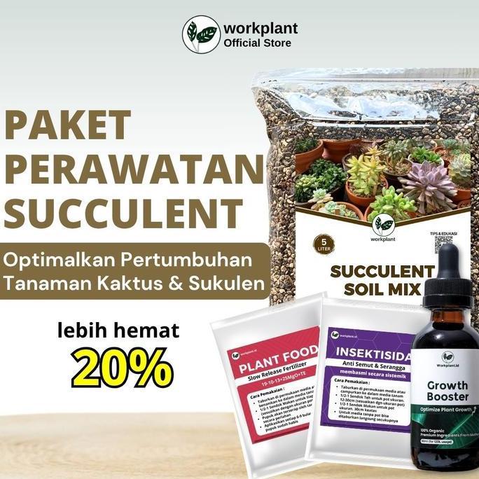 Workplant - Paket Perawatan Succulent Optimalkan Pertumbuhan Tanaman Hias Kaktus dan Sukulen
