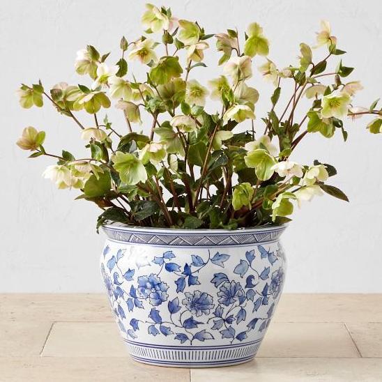 Terlaris Pot Keramik Besar Biru Putih D 35Cm