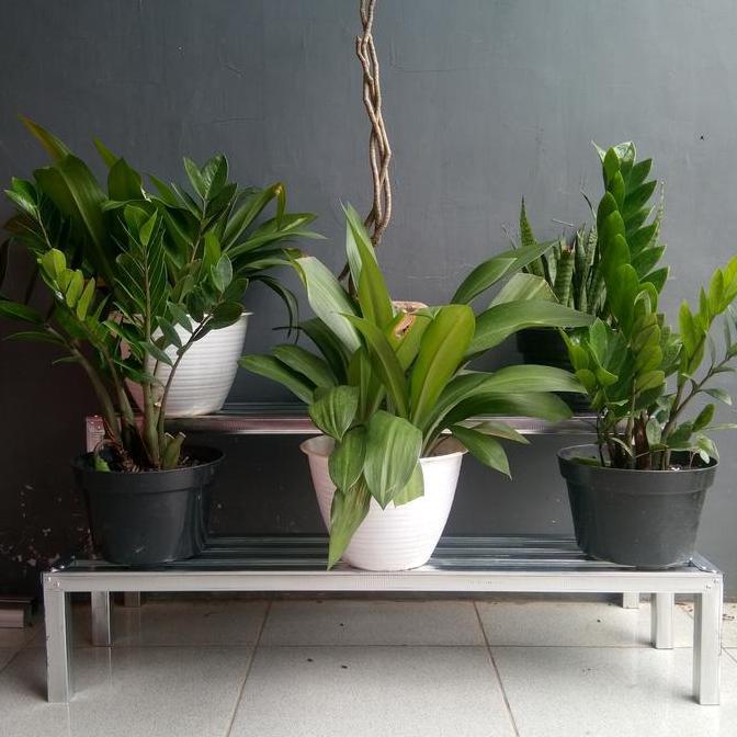 Terlaris Rak Pot Bunga Baja Ringan 2 Susun 100Cm X 20Cm X 40Cm