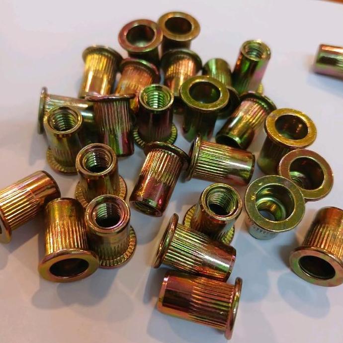 Nut Rivet M10 Besi Kuning.Mur Nut Set M10 Kuning.Rivet Nut M10 Kuning.Isi 450 Pcs  Sale