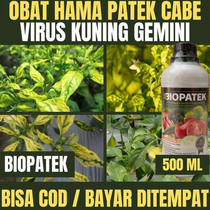 BIOPATEK Fungisida Hama Virus Kuning/Gemini, Obat Hama Virus Kuning/Gemini Cabe/Cabai dan Semua Tana