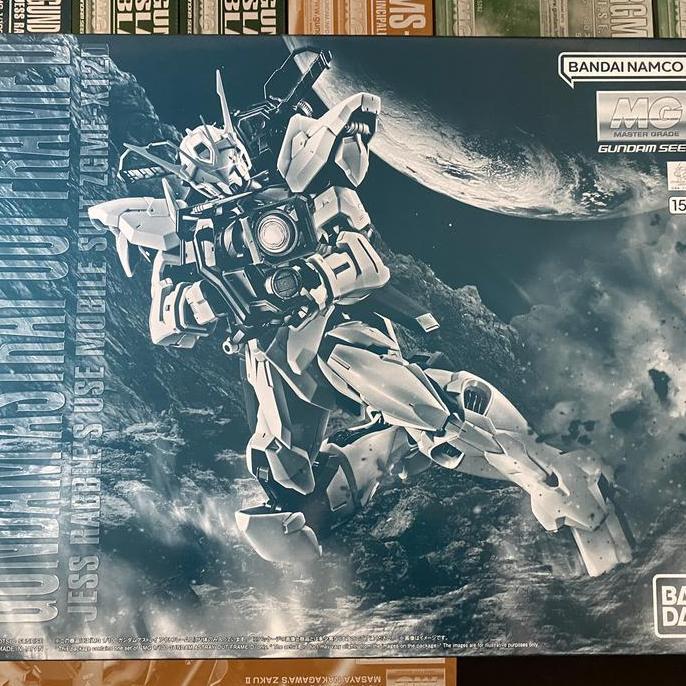 MG Gundam Astray Outframe D