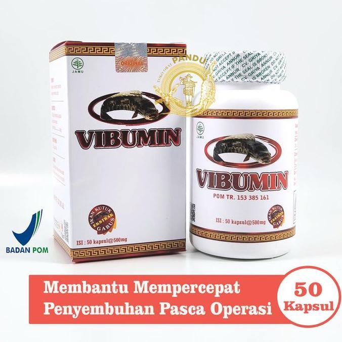 VIBUMIN / VIBUMIN PLUS / IKAN GABUS / DAYA TAHAN TUBUH / PASCA OPERASI TEG