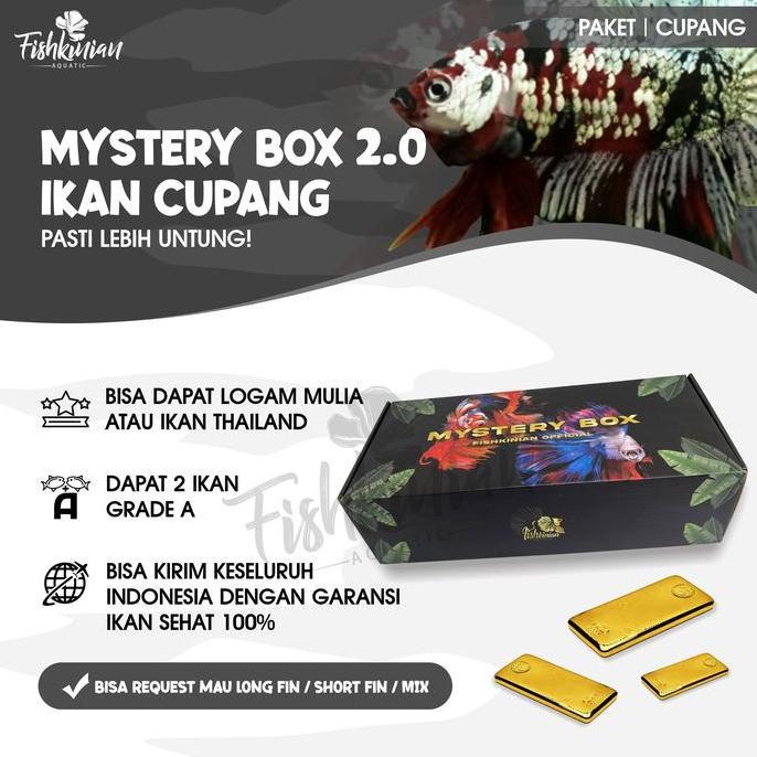 MYSTERY BOX CUPANG 2.0 FISHKINIAN (LIMITED EDITION)