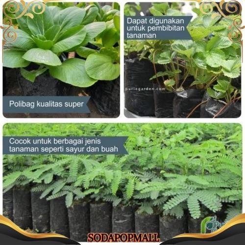 GROSIR Polybag Polibag Tanaman 30x30 cm Kemasan Berat 1Kg PG SBY