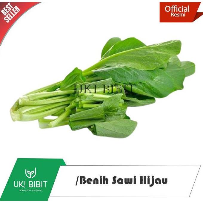 Terlaris ( 1 Kg ) Benih Biji Sawi Hijau Lokal | Sawi Hijau