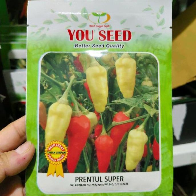 Benih Cabe Rawit Prentul Super 10 Gram Dari You Seed Cabe Prentul Super