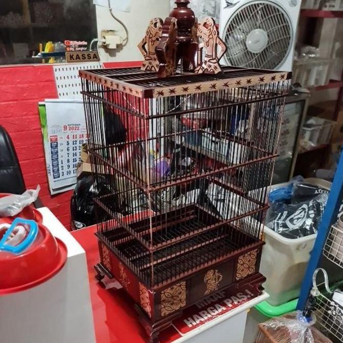 Sangkar Ukir Kandang Ukir Kron Untuk Burung Ciblek Kenari Cak Ijo