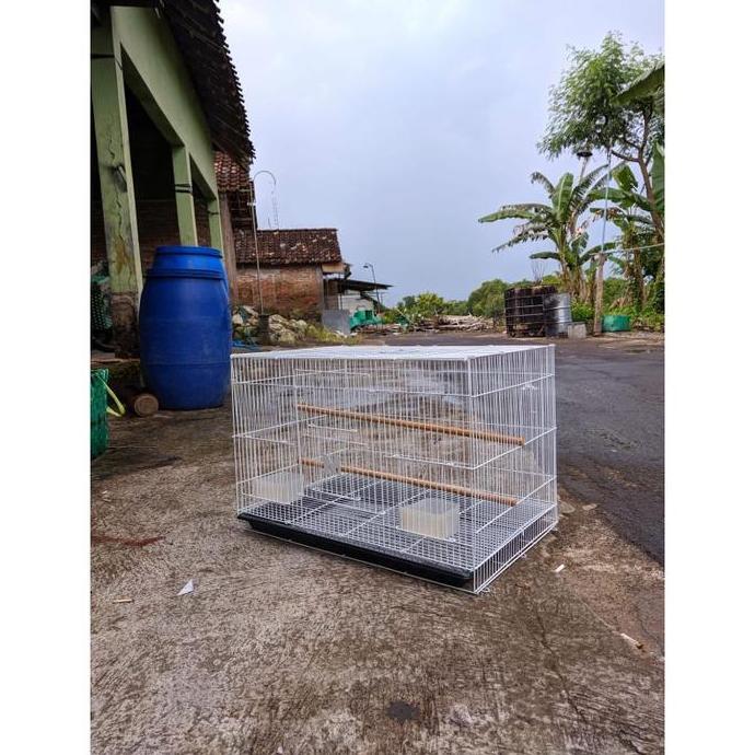 Kandang Kotak Besi DRAGON Kandang Ternak Burung Kandang Suger Glider Burung DLL