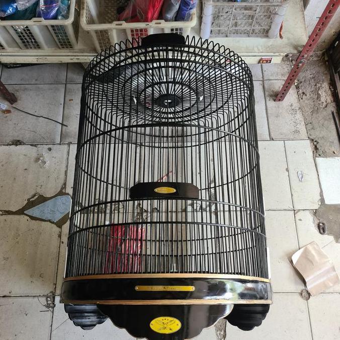 murai sangkar murai sangkar no 2