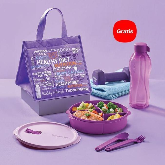 tupperware fit to go lunch box