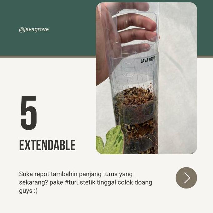 6 pcs TurusTetik GROSIR / Turus Plastik Mika Bening Mica / Moss pole TURUS ESTETIK