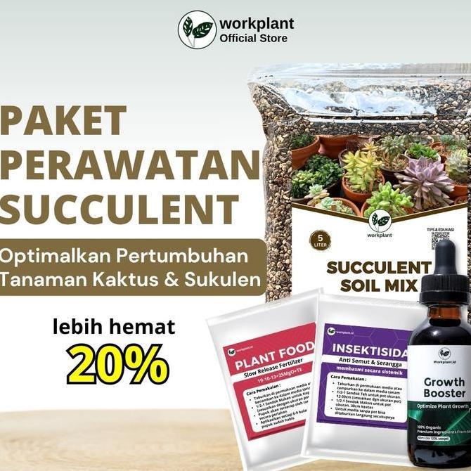 Workplant - Paket Perawatan Succulent Optimalkan Pertumbuhan Tanaman Hias Kaktus dan Sukulen