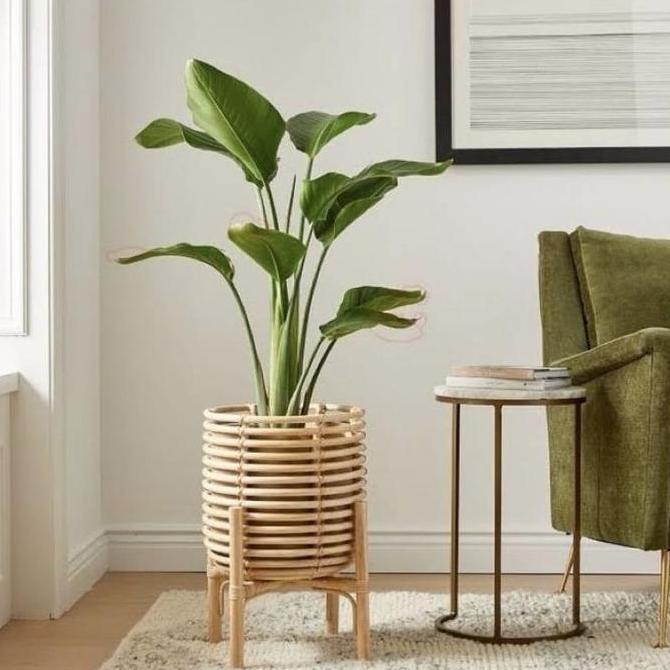 STANDING POT ROTAN / POT ROTAN / POT STANDING SET