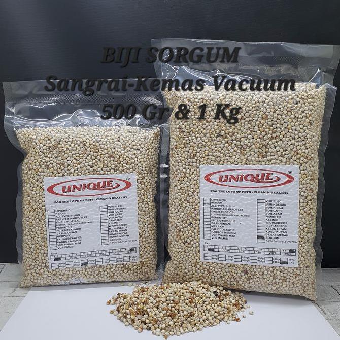 BIJI SORGUM PUTIH SANGRAI MILO SEED PAKAN BURUNG PUTER DERKUKU LOVEBIRD MEDIUM PARROT MERPATI HAMSTE