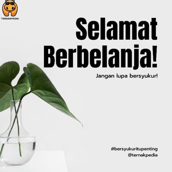 Enro 100 gram - Obat untuk Ikan Sakit Apapun - Enrofloxacin 100 gram [terbaik]