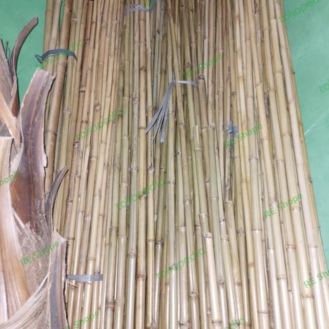 Promo batang bambu asli/bunga plastik/batang bambu cendani bambu dekorasi COD