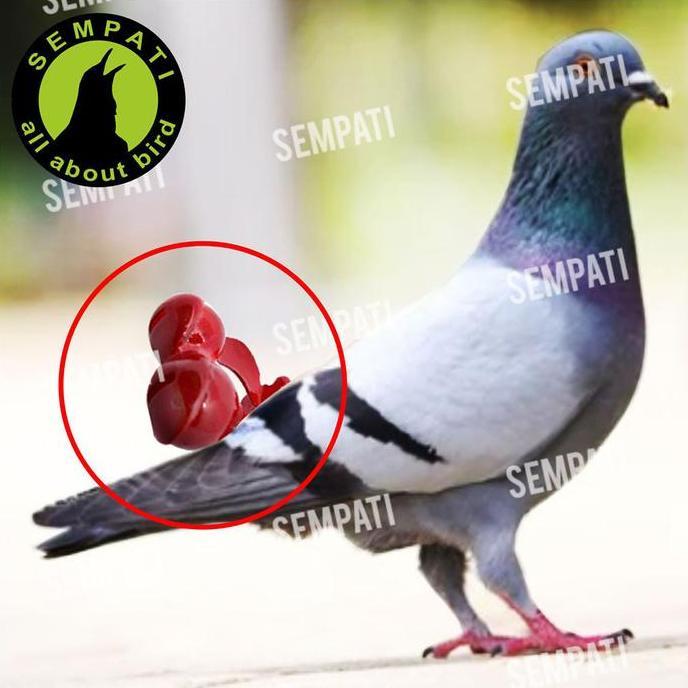 SEMPATI Sawangan Burung Merpati Double Gendong Fiber Nyaring Hotang  Pluit Peluit Mainan Burung Dara