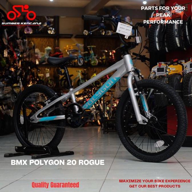Terbaru Sepeda Bmx Polygon 20 Rogue Ca
